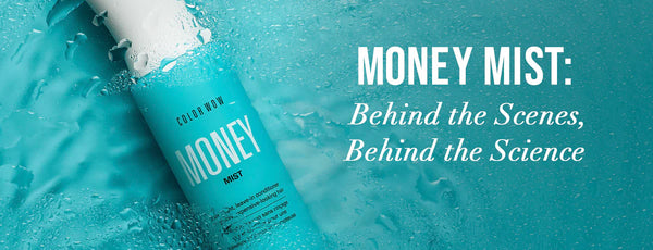 Money Mist: Hintergründe zur Entwicklung und der Formulierung
